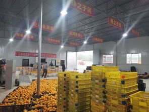 南溪區江南鎮農產品初加工廠 熱火朝天促加工，農副產品暢銷路