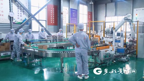 安順155名產業村長點燃鄉村振興新引擎，農副產品暢銷富鄉惠民利企