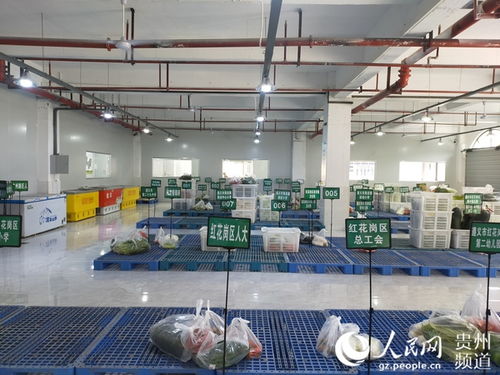 紅花崗區農產品產銷對接智慧服務中心首日運營成效顯著，發貨量達40余噸