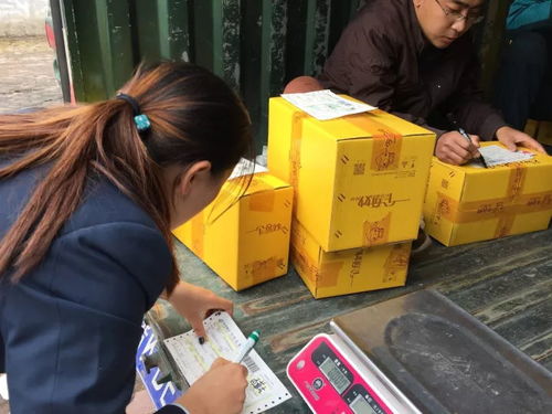 電商賦能太行百歲品牌，助力初級(jí)農(nóng)產(chǎn)品收購新篇章